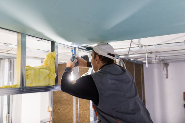 Best Insulation Installation Services in James City, NC