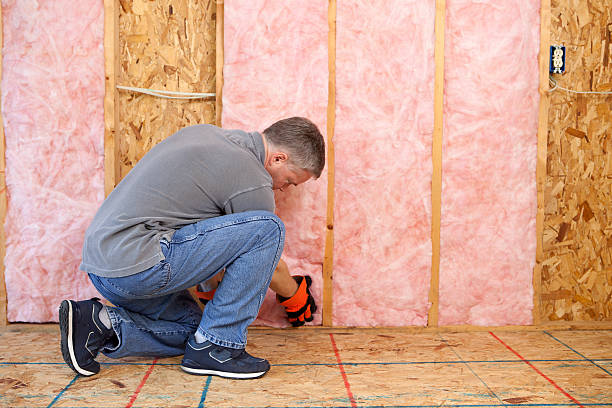 Best Insulation Maintenance and Repair in James City, NC